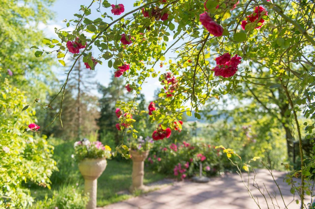 Ferienhaeuschen Sans Pareille Bei Bayreuth Villa Hartmannsreuth Exterior foto